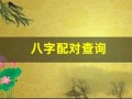 八字配对查询(八字配对查询爱情)