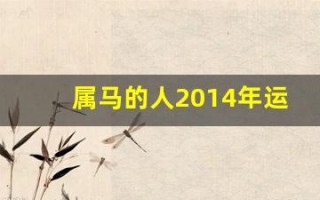 属马的人2014年运程(属马的人2014年运势)