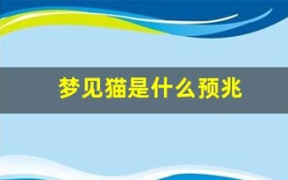 梦见猫是什么预兆(梦见猫咬自己什么预兆)