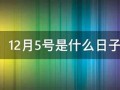12月5号是什么日子(12月5是什么日子有什么特殊意义吗)