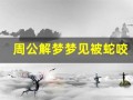 周公解梦梦见被蛇咬(蛇咬自己周公解梦)