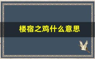 楼宿之鸡什么意思(楼宿之鸡是什么意思)