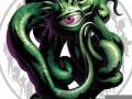 shuma(舒马赫)