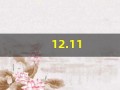 12.11(121123违章查询交费)