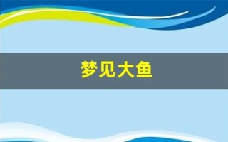 梦见大鱼(梦见大鱼 特别大)
