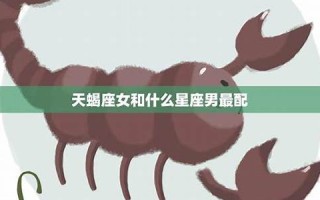天蝎座男生最配星座(天蝎座男生最配星座配对)