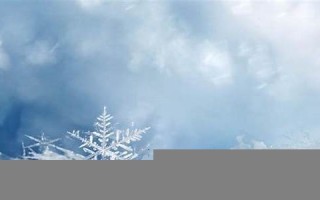 梦见下雪是什么征兆(梦见下雪是什么征兆 男性)
