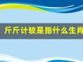 斤斤计较是指什么生肖(斤斤计较是指什么生肖和动物)