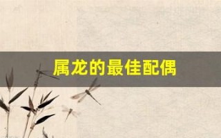 属龙的最佳配偶(00年属龙的最佳配偶)
