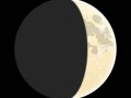8月22日(8月22日出生的名人明星)