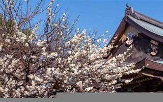 2月8日(2月8日是农历的多少)