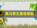 属马男生最佳婚配(属马男生最佳婚配生肖)