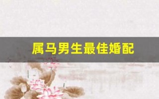 属马男生最佳婚配(属马男人最佳妻子)