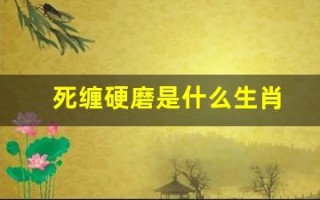 死缠硬磨是什么生肖(死缠硬磨的意思是什么)