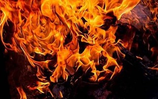 梦见火(梦见火烧山)