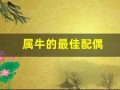 属牛的最佳配偶(96年属牛的最佳配偶)