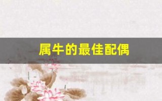 属牛的最佳配偶(96年属牛的最佳配偶)