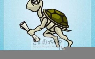 行动迟缓的动物(行动迟缓的动物是什么)