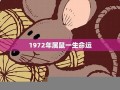 1972年属鼠的人2013年运程(1972年属鼠2012年运势)