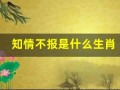 知情不报是什么生肖(知情不报同义词)