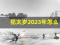 犯太岁2023年怎么化解(犯太岁2023年生肖是什么)