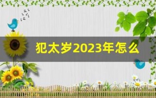 犯太岁2023年怎么化解(犯太岁2023年生肖是什么)
