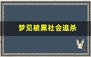 梦见被黑社会追杀(梦见被黑社会追杀)