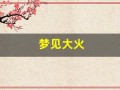 梦见大火(梦见大火烧房子火势很旺最后扑灭)