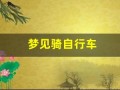 梦见骑自行车(梦见骑自行车带人)