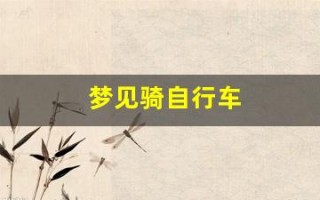 梦见骑自行车(梦见骑自行车带人)