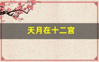 天月在十二宫(天月在十二宫意义)