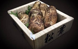 7月28日(7月28日什么日子)