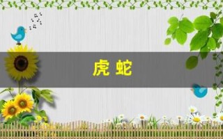 虎 蛇(虎蛇相配不到头什么意思)