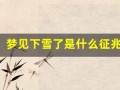 梦见下雪了是什么征兆 女性(梦见下雪了白茫茫一片什么预兆)