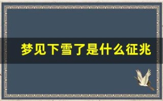 梦见下雪了是什么征兆 女性(梦见下雪了是什么征兆 女性周公解梦)