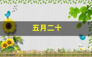 五月二十(五月二十一是什么星座)
