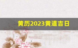 黄历2023黄道吉日查询(黄历2023黄道吉日查询生孩子)