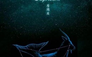 星座摩羯打一数字(星座摩羯打一数字是几)