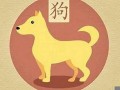 属狗出生月的命运(属狗出生月命运 晚景方能幸福)