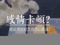 感情测试(感情运势)