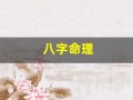 八字命理(八字命理免费查询)