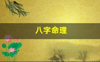 八字命理(八字命理免费查询)
