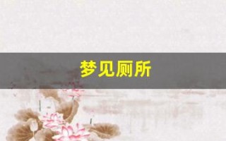 梦见厕所(梦见公厕很脏)