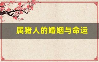属猪人的婚姻与命运(属猪人婚姻配对)