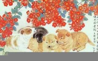 2013属狗的运程(20121属狗的运势)