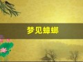 梦见蟑螂(梦见蟑螂和老鼠是什么意思)