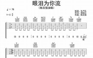 你的眼泪为谁流(你的眼泪为谁流歌曲)