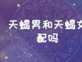 天蝎男和双鱼女(天蝎男和双鱼女合适吗)