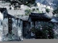 老宅(老宅基地拆掉土地归谁所有)