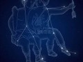 双子星座2(双子星座2025运势)